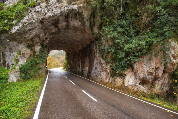 Somiedo自然公園、アストゥリアス、スペインの山の風景の石のトンネル道路。