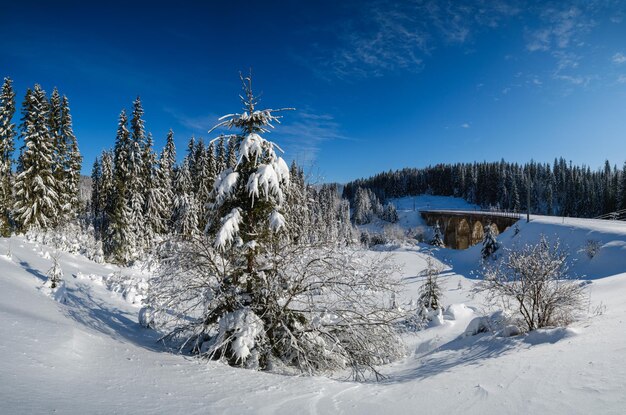 Stone viaduct arch bridge on railway through mountain snowy fir\
forest snow drifts on wayside and hoarfrost on trees and electric\
line wires