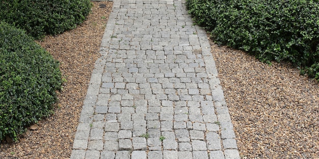 Photo stone walk way in the garden