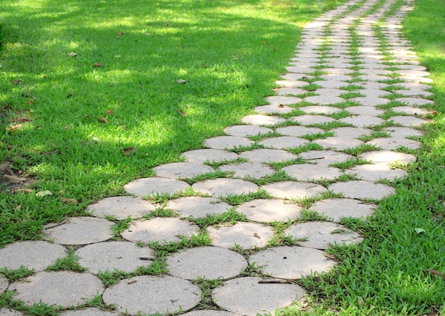 Stone walkway on a grassy in the park