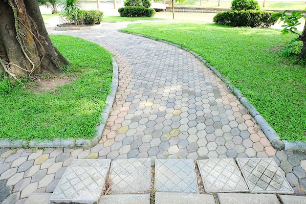 Stone walkway with green grass and tree in the garden at public park.