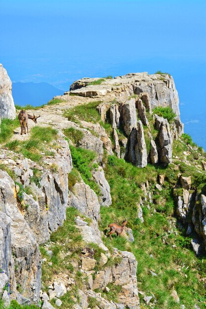 Foto muro di pietra accanto a rocce contro un cielo blu limpido