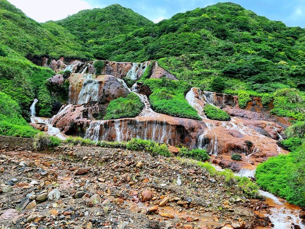 Stone wall by trees on mountain