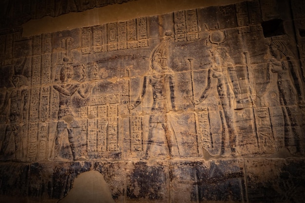 Photo stone wall carving at philae temple in aswan upper egypt