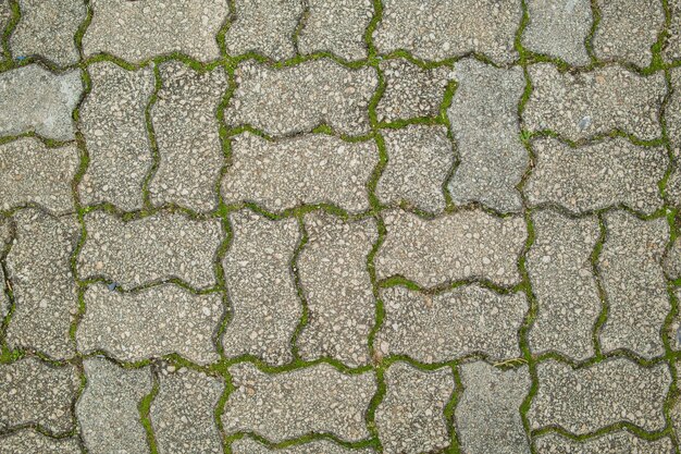 stone wall covered green moss