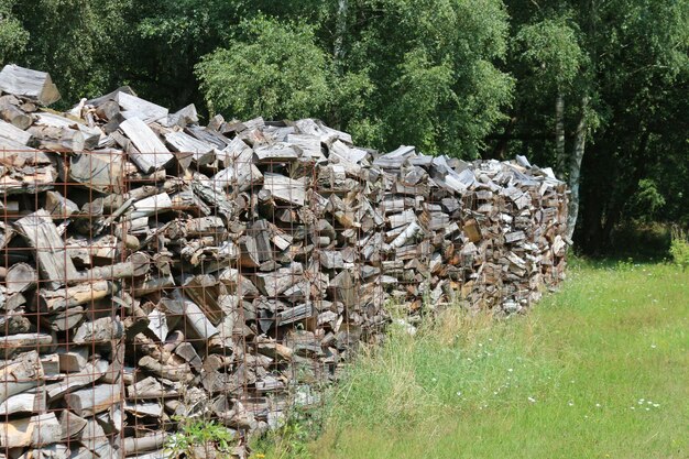 Foto muro di pietra e prato