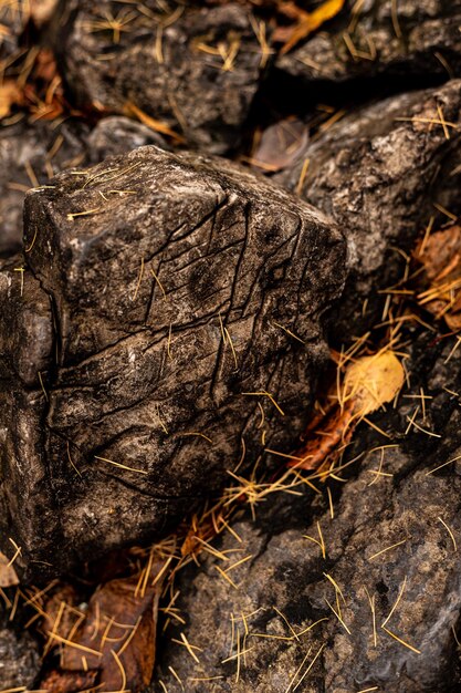 A stone wall. stands of brown stones strewn with autumn leaves