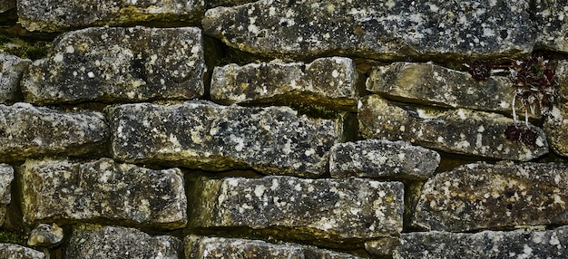 stone wall texture photography