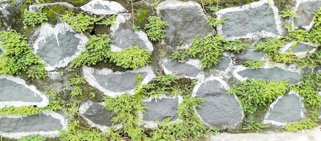 a stone wall with moss growing on it