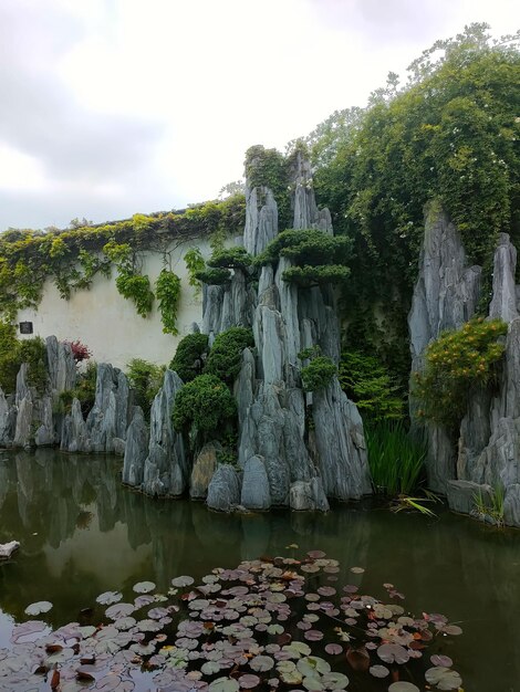 A stone wall with a pond and a stone wall with a lily pads on it.