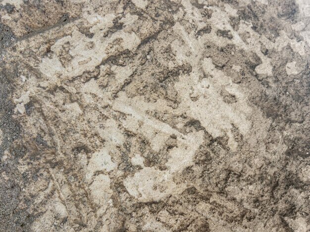 Photo stone wall with textured pattern closeup