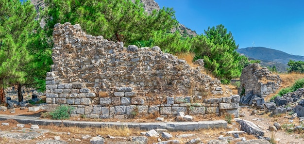 Foto muro di pietra con alberi sullo sfondo