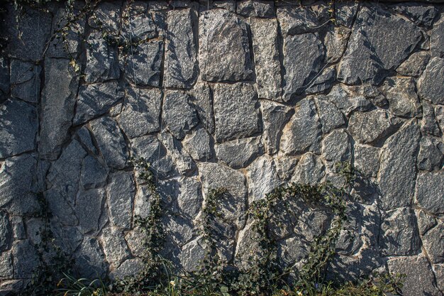 Stone wall with wild vine