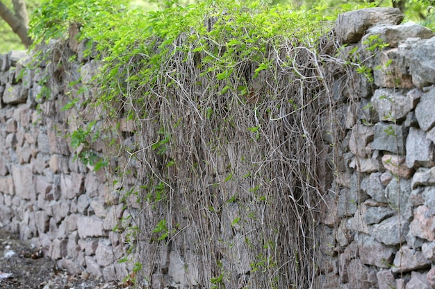 Stone wall