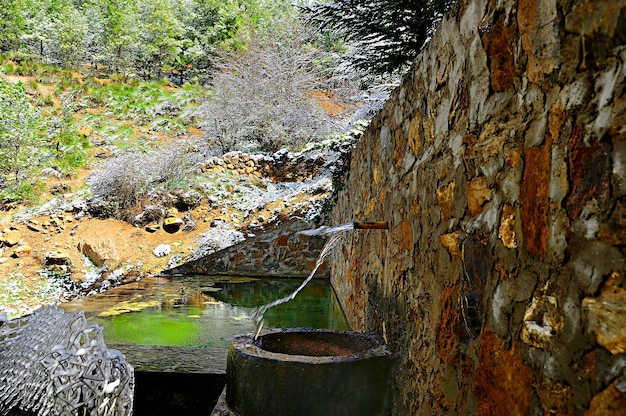 Fontana in pietra in un parco naturale