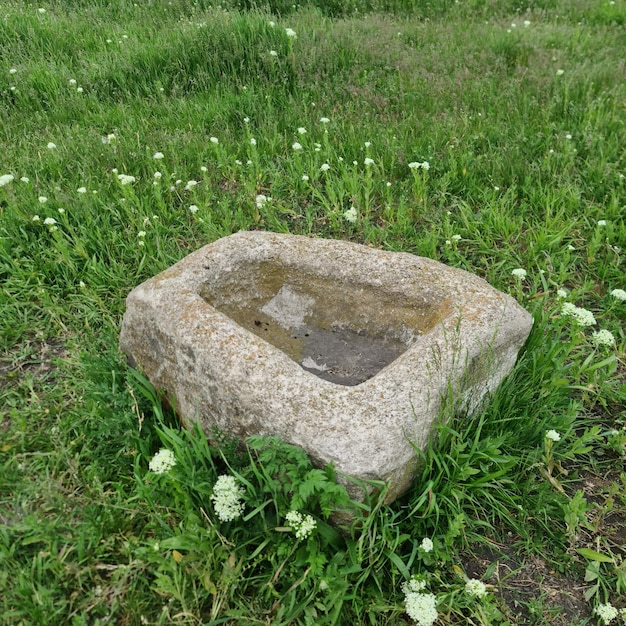 A stone with water in it is surrounded by grass and flowers.