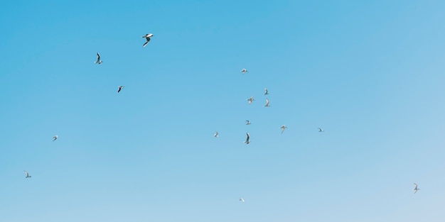 산의 전경을 조망할 수 있는 흐릿한 바다 배경의 돌