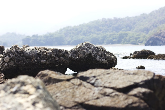 Photo stones on the beach at the sea under water