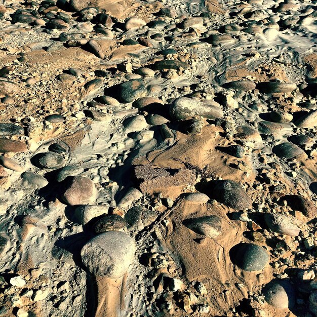 Foto pietre sulla spiaggia