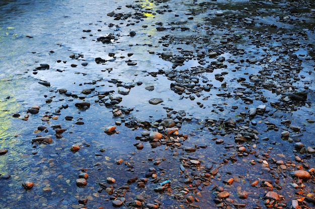 Photo stones on beach