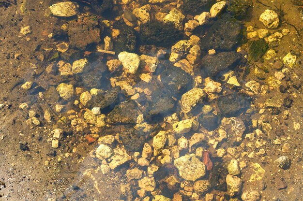 Stones at the bottom of a small river on a sunny morning Moscow region Russia