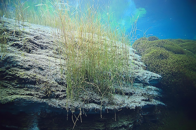 Foto pietre in fondo paesaggio sottomarino, astratto sfocato sotto lo sfondo dell'acqua