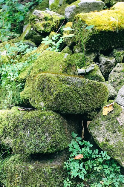 屋外に横たわる苔のある石レンガ自然なテクスチャ