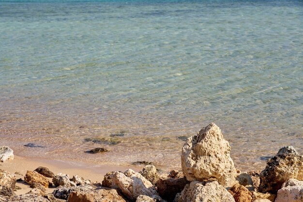 Stones on the coast of the Red sea in Egypt