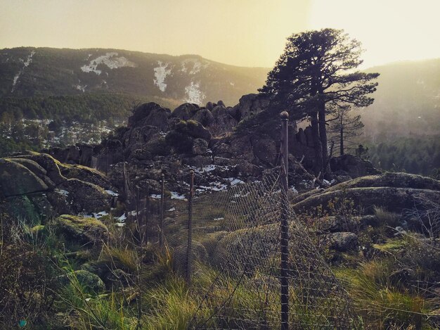 Foto pietre sul campo contro il cielo