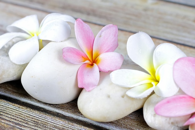 Stones and flowers on the wooden background