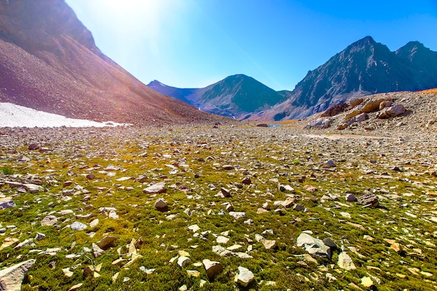 Le pietre sull'erba su un vulcano.