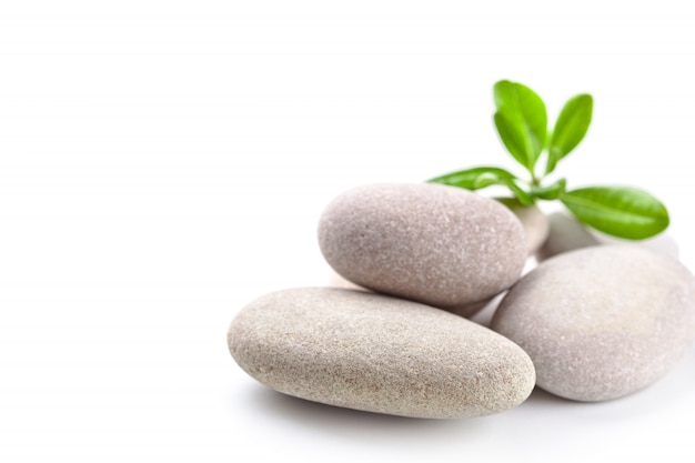 Stones and green leaves