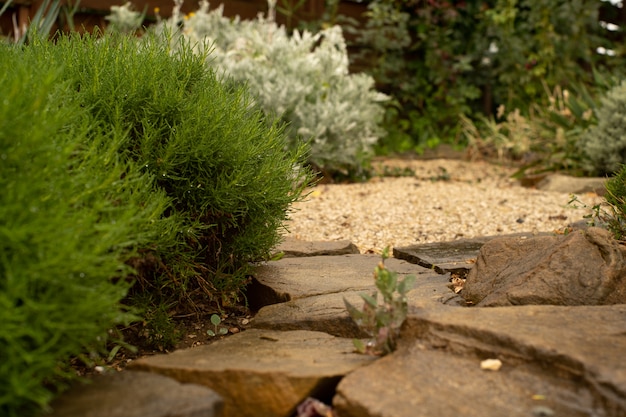 Photo stones and greenery nature