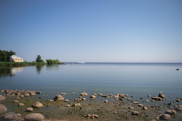 The stones lie on the shore of the Gulf of Finland