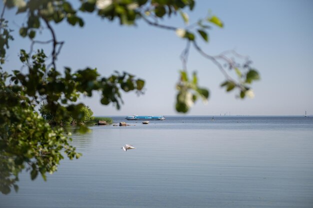 The stones lie on the shore of the Gulf of Finland