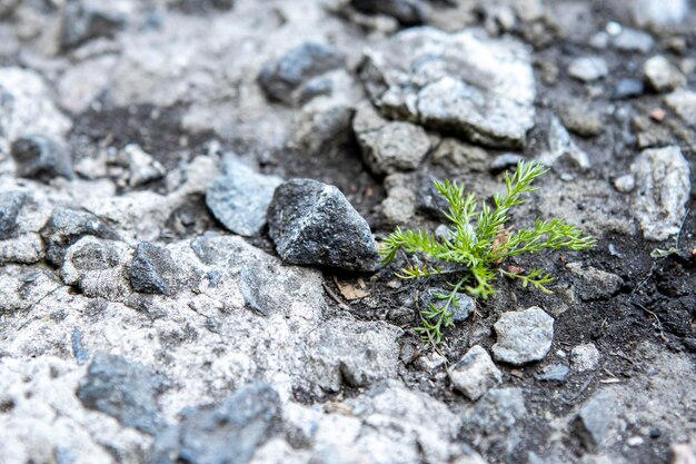 Stones at natural rock background