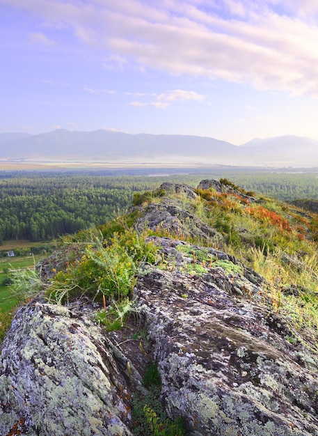 青い朝の空の下、アルタイ山脈の苔が生い茂った石。シベリア、ロシア