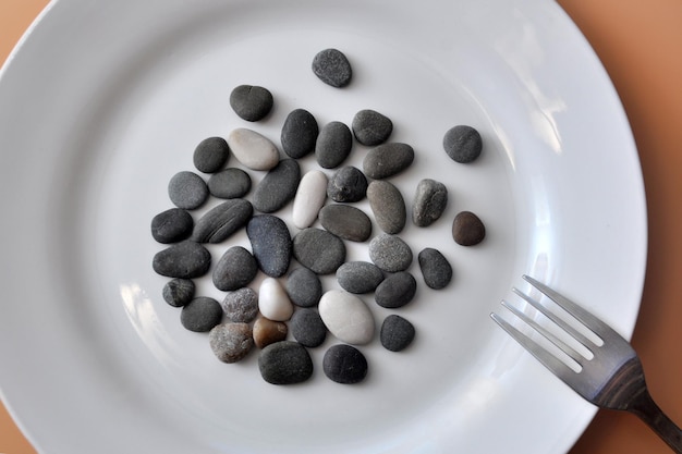 皿に石がのっている、食べた後の胃の重さ