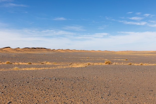 Stones in Sahara desert