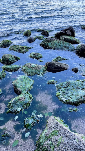 Stones on the sea shore