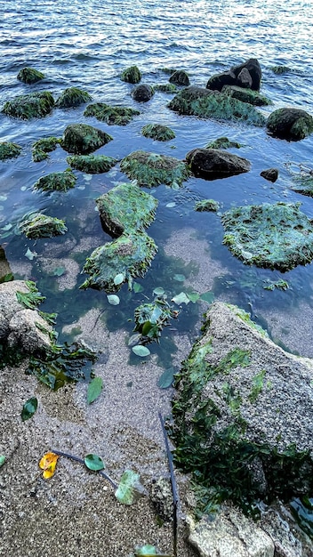 海岸の石