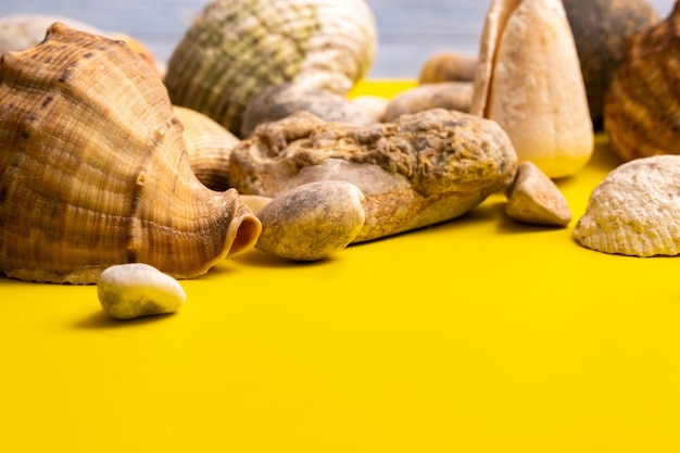 Stones and shells on a blue wooden background and a yellow background.Marine theme.