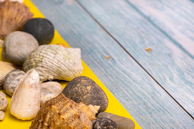 青い木製の背景と黄色の背景に石と貝殻。海洋のテーマ。