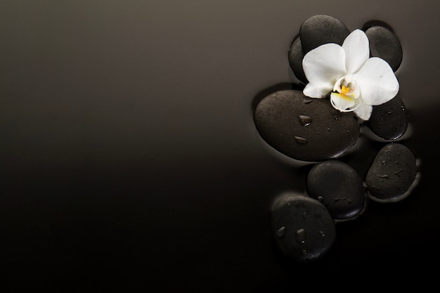 Photo stones with orchid and copy space