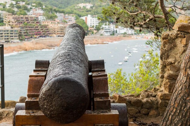 Foto muraglia di pietra contro gli alberi con un cannone