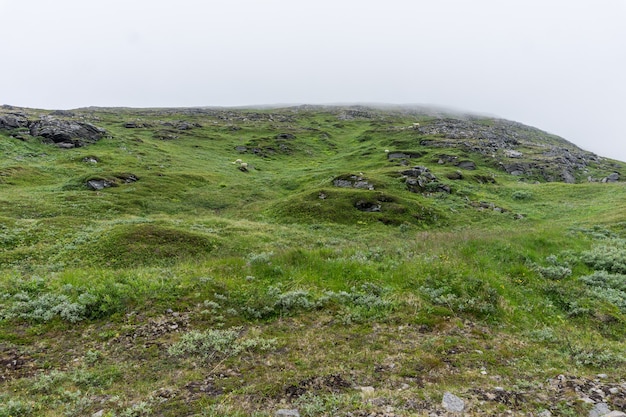 Colline pietrose nella nebbia in estate, isola di soroya, norvegia