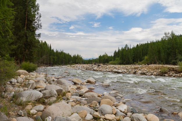 Stony river bank.