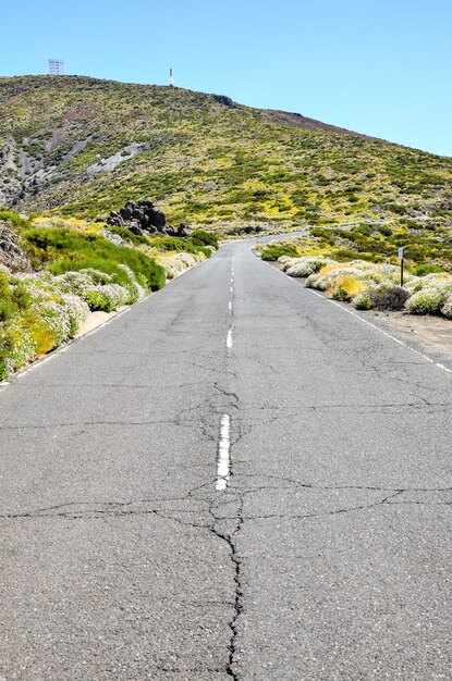 火山砂漠の石の道