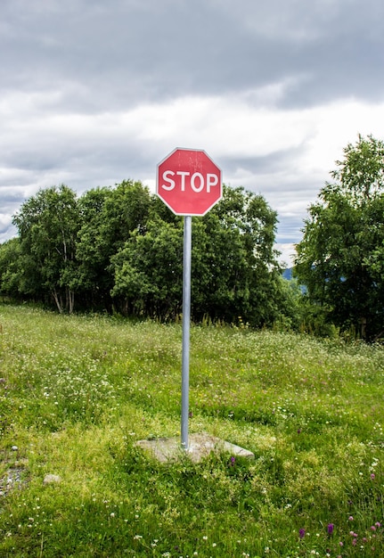 Stop sign on a green meadow