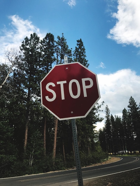 Photo stop sign at roadside